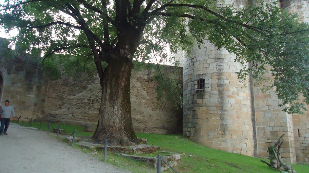 Casas Rurales El Caminante Aldeanueva del Camino Luaran gambar